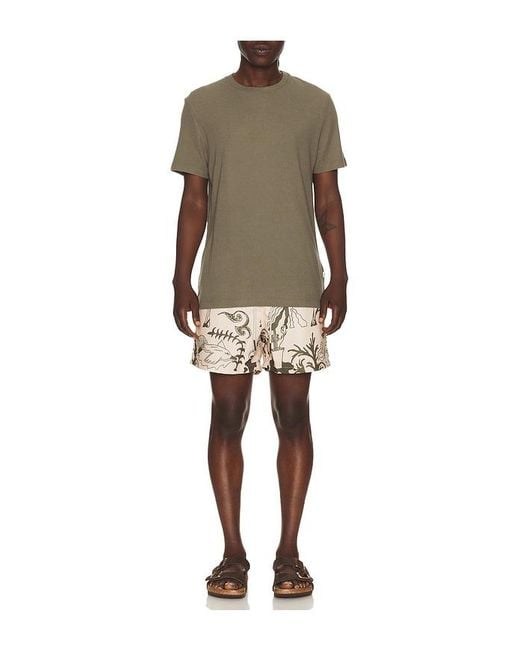Oas Natural Poplan Swim Shorts for men