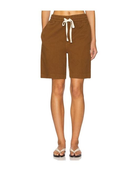 Amo Denim Brown Shorts Tina