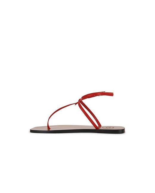Atp Atelier Brown Alassio Sandal