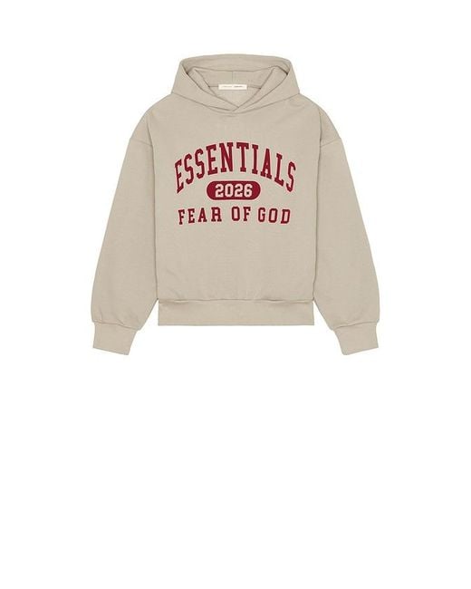Fear Of God Hoodie Classic in Gray für Herren