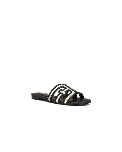 Sam Edelman Black Bay Multi Sandal