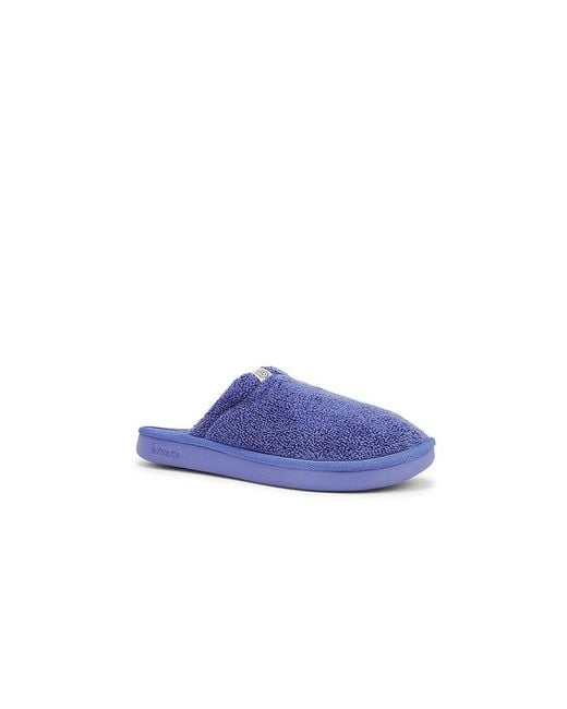 Brunch Blue Essential Spring for men