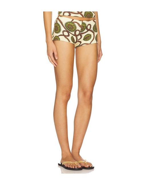 Afra Shorts En Color Verde Talla En Siedres de color Black