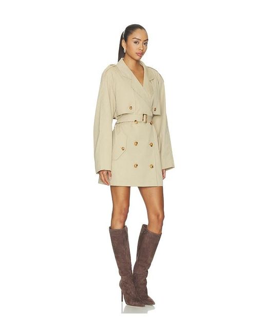 Auteur Studio Natural Zeta Dress