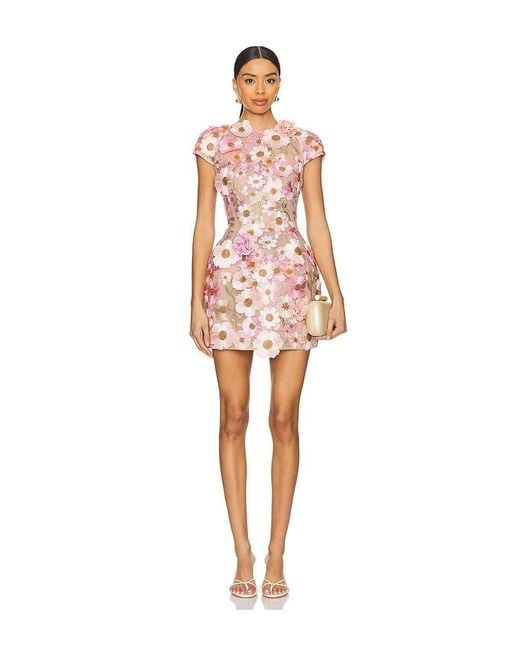 Bronx and Banco Multicolor Minikleid Jasmine