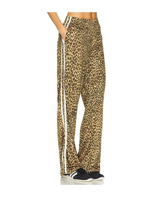 The Upside Multicolor Hose Panthera Jetset