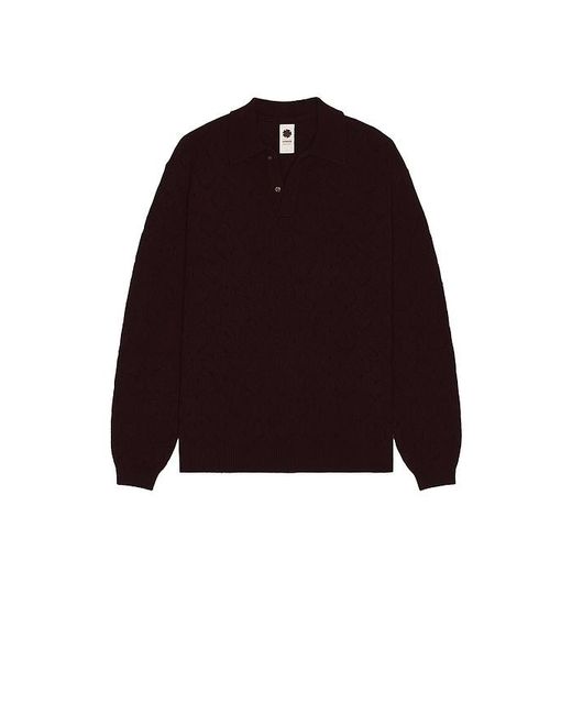 vowels Brown Eyelet Polo for men