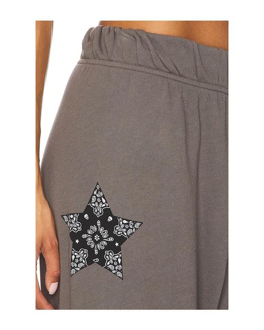 Lauren Moshi Brown Horse Wide Leg Pant