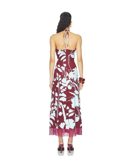 Cara Cara White Shelter Island Maxi Dress
