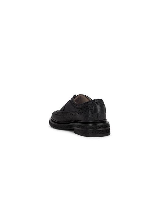 AllSaints Black Escher Brogue Shoe for men