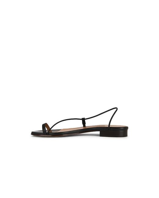 Emme Parsons Black Susan Slide