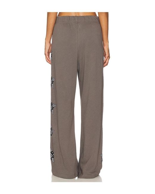 Lauren Moshi Brown Horse Wide Leg Pant