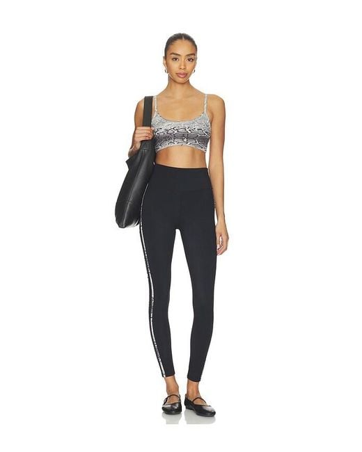 Strut-this Black The Sutton Legging