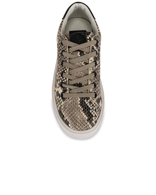 Greats レザー Waverly スニーカー カラー グレー Lyst Greats レザー Waverly スニーカー カラー グレー Lyst