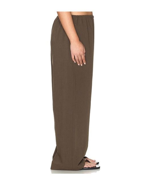 L'academie Brown 'Academie Nicoly Pant