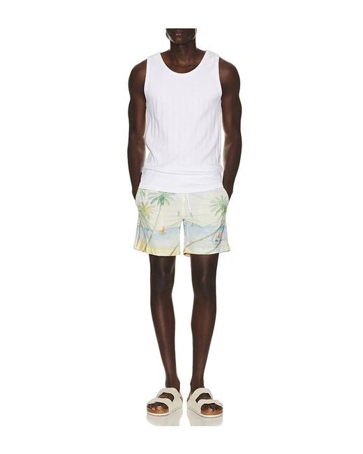 Trunks Surf & Swim Blue Sano 6.5 Swim Short for men