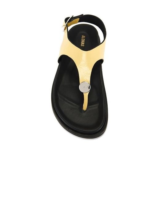 Alohas Multicolor Harbor Onix Sandals