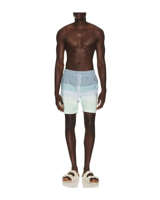 Trunks Surf & Swim Blue Sano 6.5 Swim Short for men