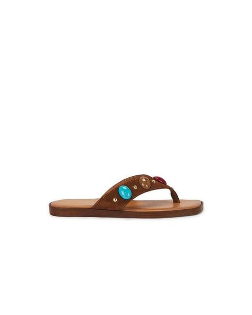 Seychelles Brown Top Of The World Sandal