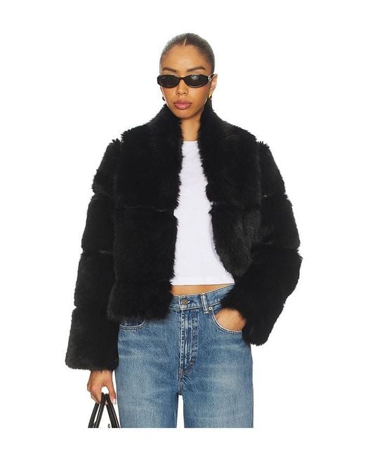 Apparis Blue Sai Sable Coat