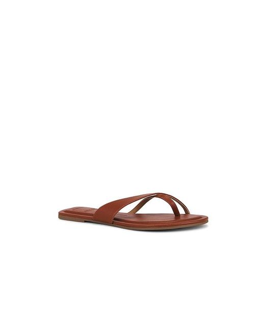 Dolce Vita Brown Lenex Thong Sandal