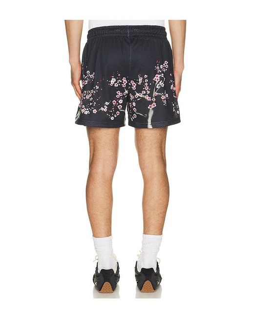 Ryoko Rain Blue Cherry Blossom Shorts for men