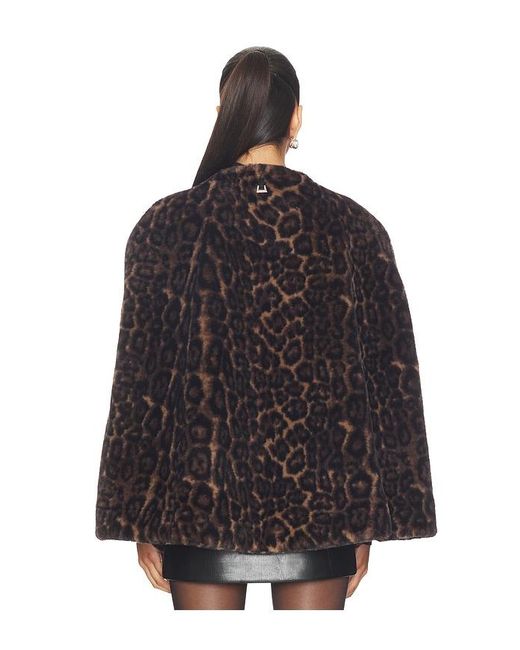 Apparis Black Sloane Leopard Cape