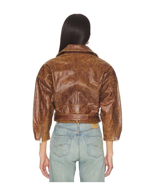 Lamarque Brown Vinnie Jacket