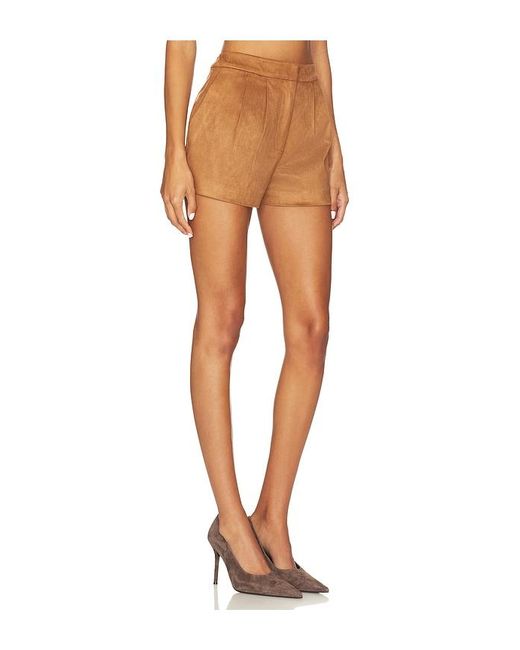 Astr Brown Jude Shorts