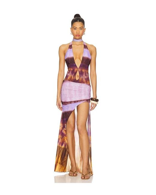 Indah Multicolor Hazel Printed Mesh Maxi Gown