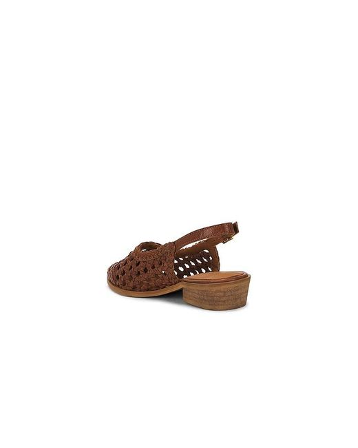 Seychelles Brown Flach Roxanne