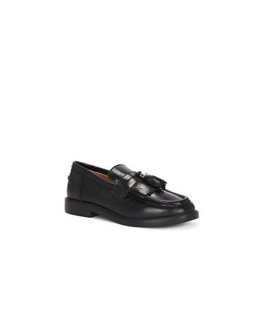 Steve Madden Black Radcliff Oxford