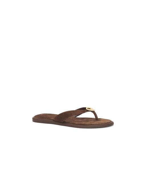 Dolce Vita Brown Jaina Sandal