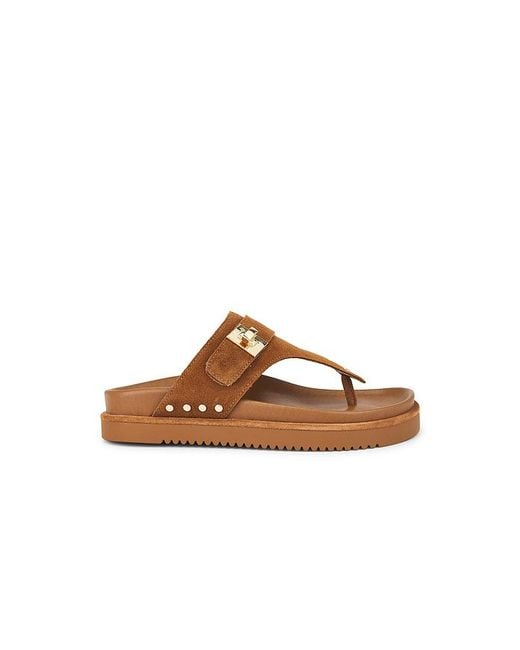 Steve Madden Brown Thona Sandal
