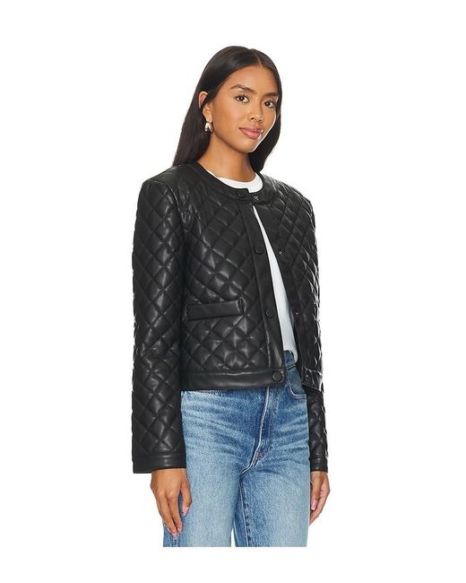 Steve Madden Black Jacke Martine