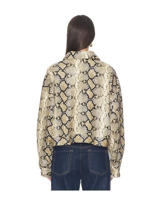 Lioness Blue Angel Jacket