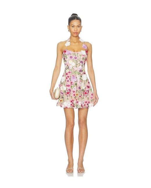 Elliatt Multicolor Neve A Line Mini Dress