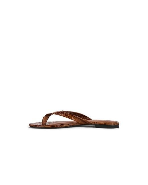 Anine Bing Brown Noelle Thong Sandal