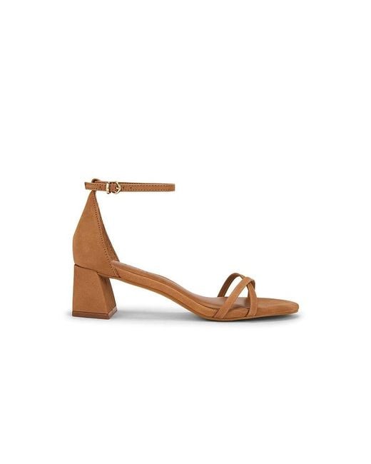 Steve Madden Multicolor Rae Sandal