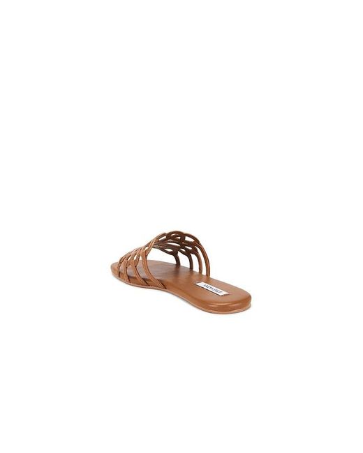 Steve Madden Brown Lotus Sandal