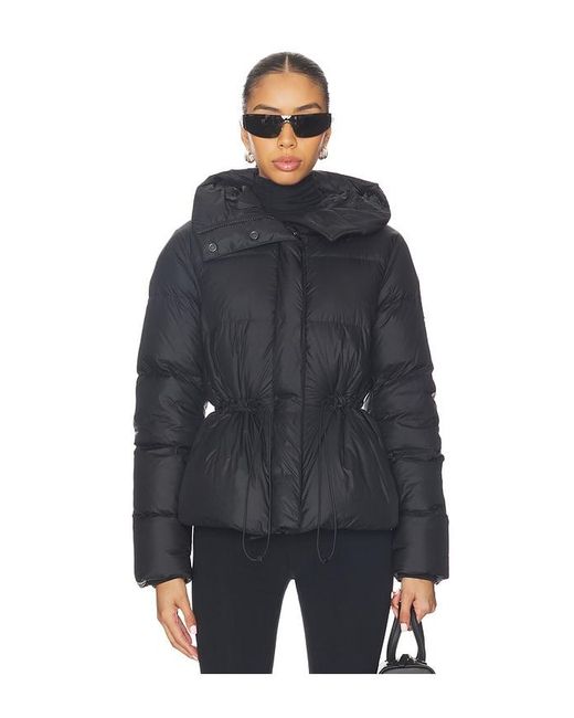 Canada Goose Blue Montgomery Jacket