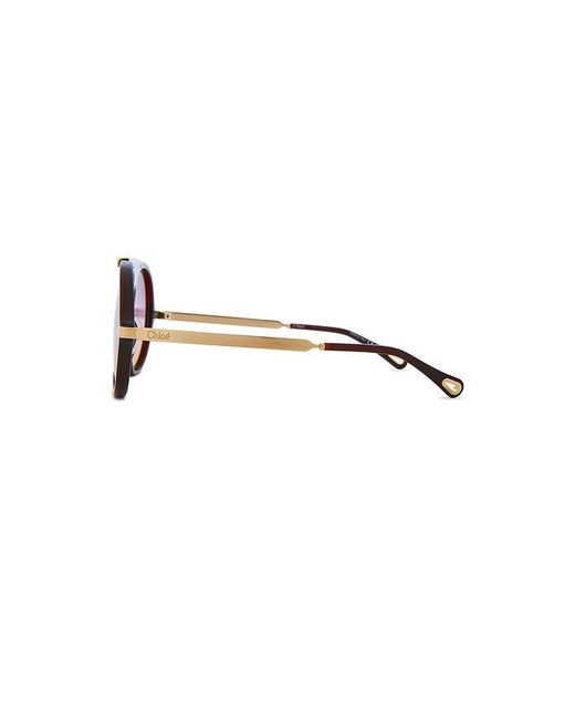 Chloé Multicolor Aly Sunglasses