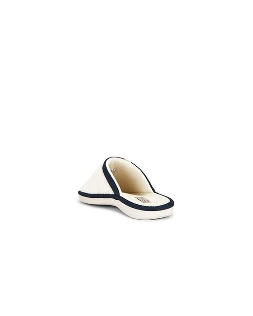 Brunch Black Essential Yankees for men