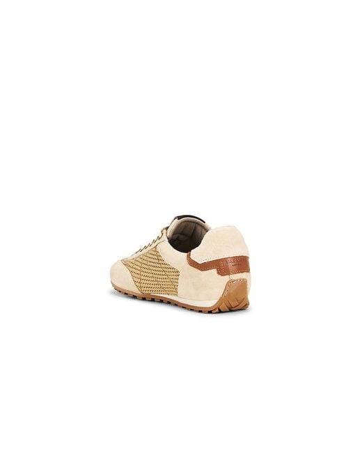 AllSaints White Liam Low Top Sneaker