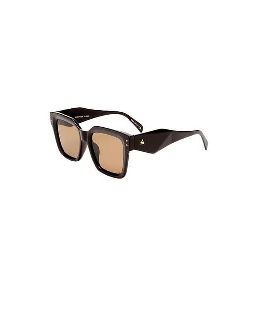 Aire Brown Sonnenbrille Magnitude