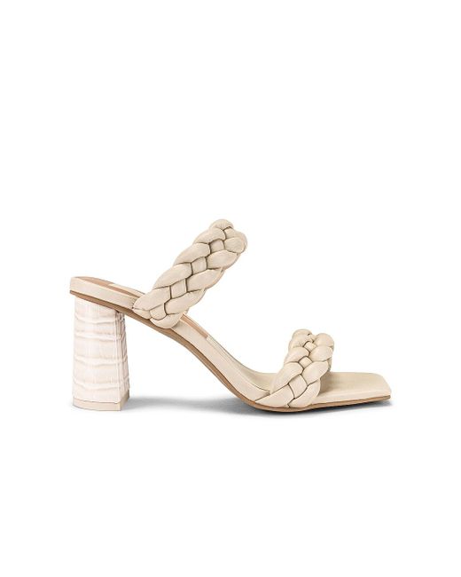 Dolce Vita Paily Sandal in Ivory (White 