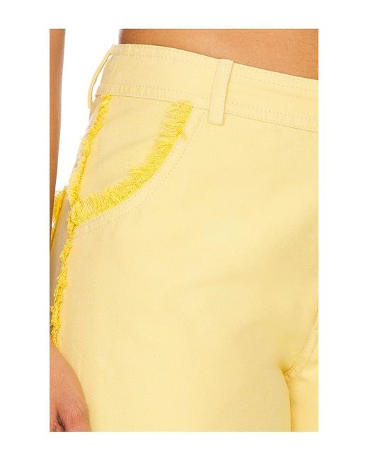 Rangel Yellow Sunny Pant