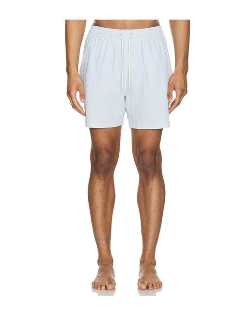 Barbour Blue Somerset Swim Short for men