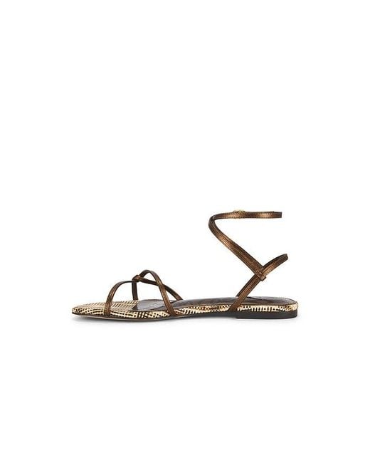 Sam Edelman Multicolor Ellina Sandal
