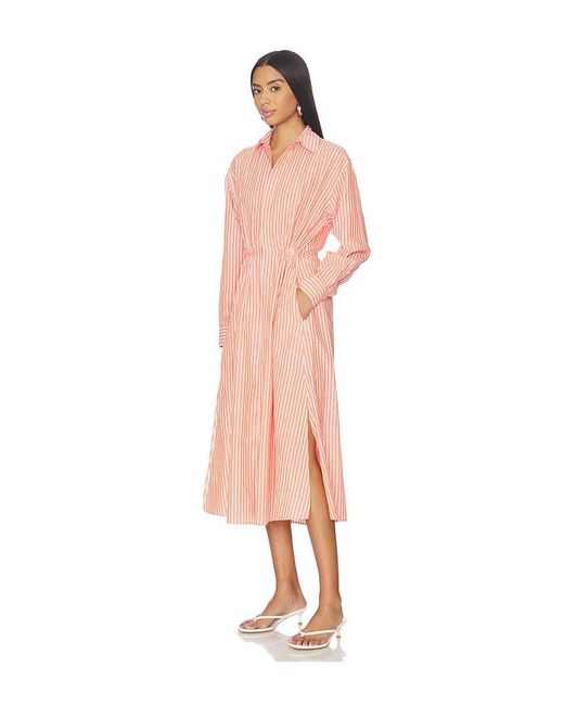 Polo Ralph Lauren Multicolor Collared Long Sleeve Dress
